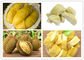 Précisez l'étuve évaluée par haute de produits de machine de dessiccateur d'air chaud de durian de contrôle