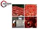 Système industriel de Cherry Tomato Hot Air Drying d'air chaud de dessiccateur de pompe à chaleur de fruit de solides solubles