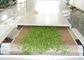 L'équipement de séchage Moringa de stérilisation de micro-onde de PLC laisse des feuilles plus sèches de four