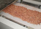 Séchage de micro-onde d'arachide et torréfaction Nuts de dessiccateur de graine de cacao de machine de stérilisation